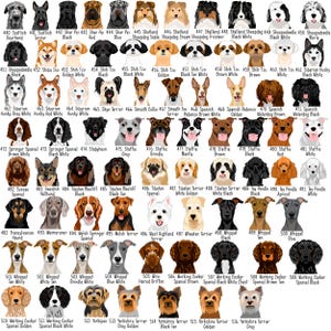 May include: A grid of dog breed illustrations, each labeled with a number and breed name. Breeds include Scottish Deerhound, Shiba Inu, Shih Tzu, Siberian Husky, and Yorkshire Terrier. The dogs are depicted in various colors and poses.