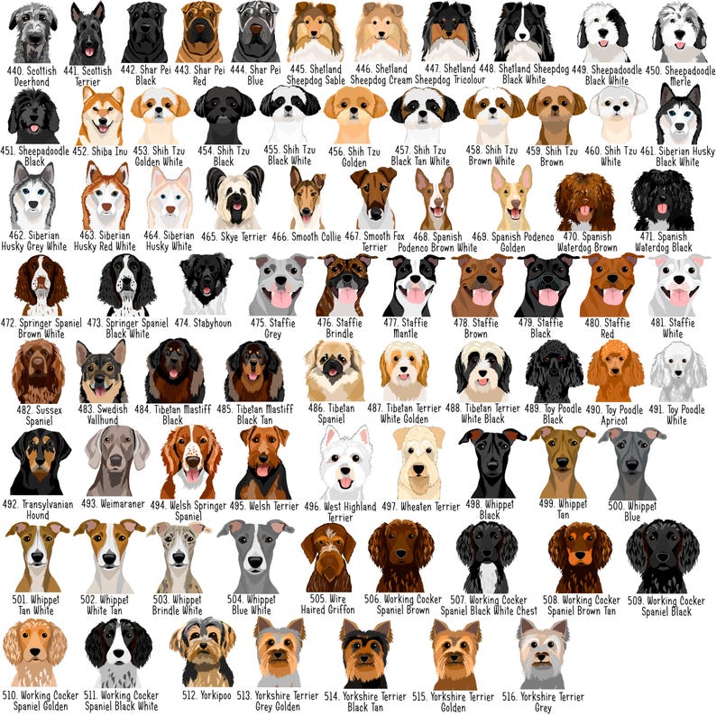 May include: A grid of dog breed illustrations, each labeled with a number and breed name. Breeds include Scottish Deerhound, Shiba Inu, Shih Tzu, Siberian Husky, and Yorkshire Terrier. The dogs are depicted in various colors and poses.