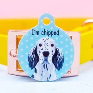English Setter pet tag dog tags for dogs pet id tag dog id tag dog collar tag personalized dog tag dog name tags image 10