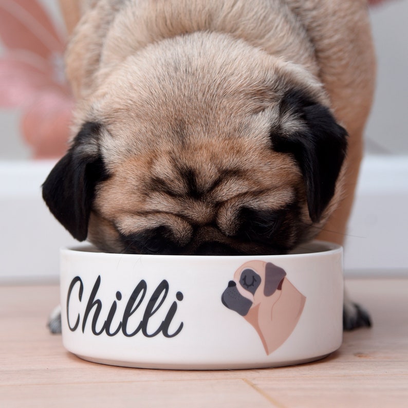 Personalised Dog Bowl Dog Feeding Bowl Personalised Dog Gift Dog Food Bowl Dog Lover Gift Custom Dog Bowl Custom Pet Bowl Dog Food Bowl Dogs image 1