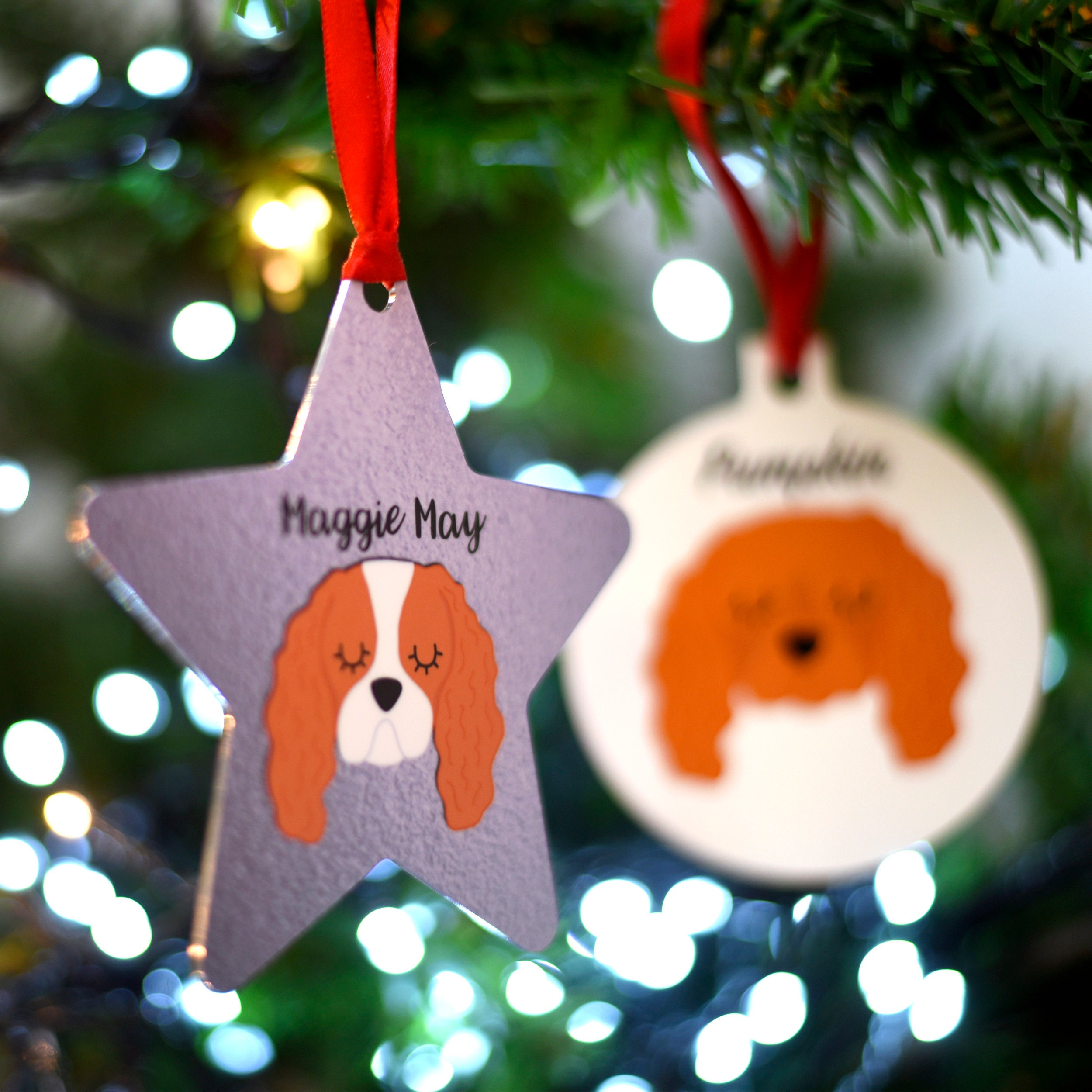 Décorations de Chien Noël - Cavalier King Charles Spaniel Décoration Dog Star