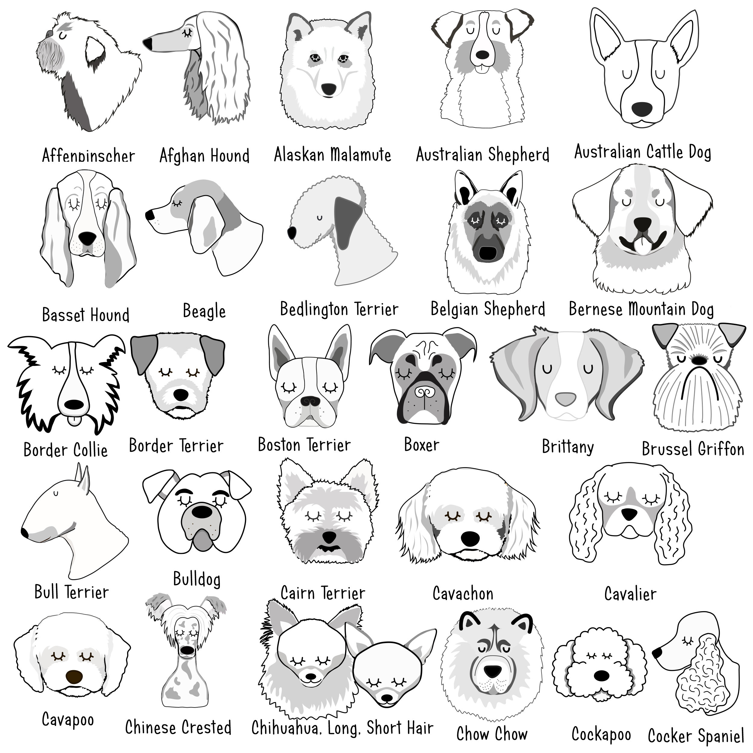 Engraved Dog Teeth Keepsake Box Personalized Dog Tooth Box Etsy