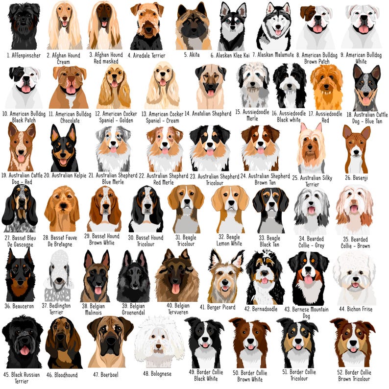 May include: A detailed illustration featuring 52 different dog breeds, each labeled with its name. The dogs are depicted in a variety of colors and coat types, including breeds like Afghan Hound, Beagle, and Border Collie.