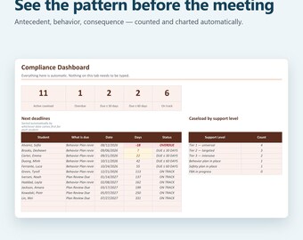 ABC Data Sheets & Behavior Tracker | Antecedent Behavior Consequence Log, Google Sheets + Excel, FBA Data, Frequency Charts