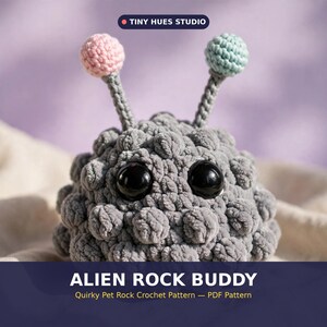 May include: A gray crocheted plush toy shaped like a textured rock with two antennae topped with small pink and light blue spheres. It features two large, round, black plastic eyes. The text reads TINY HUES STUDIO and ALIEN ROCK BUDDY.