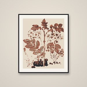 May include: A framed botanical print featuring a central plant illustration in shades of terracotta and brown against a light beige background. The artwork depicts a plant with detailed leaves, small star-shaped flowers, and dark root structures.