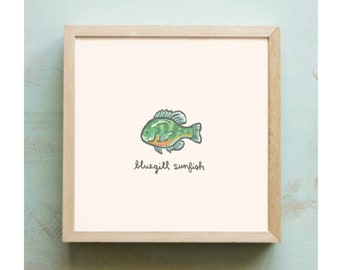 Lake Life Sunfish Art Print: Bluegill Sunfish