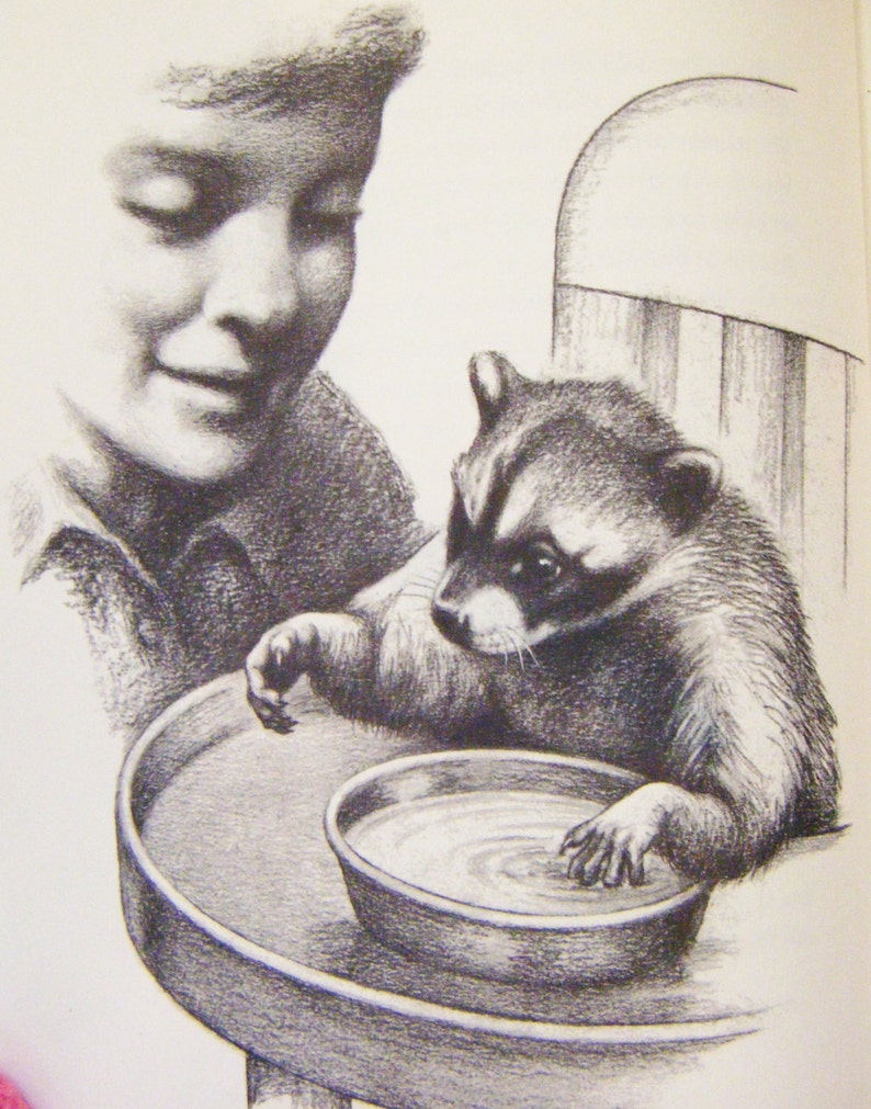little rascal by sterling north little rascal by sterling north