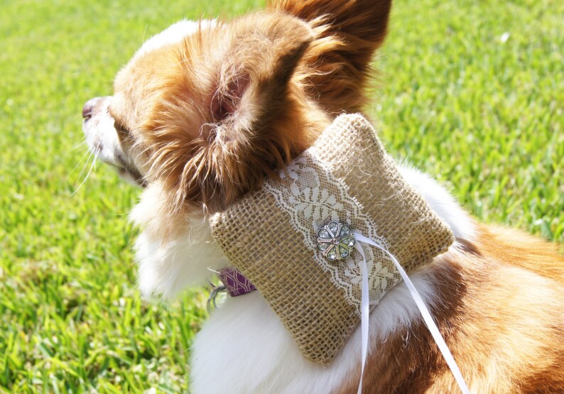 Dog Ring Bearer Pillow Wedding Outfit Gifts for Dogs Etsy