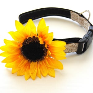 Dog Collar Flower, Yellow Sunflower Dog Collar Attachment, Collar Attachments, Collar Accessories, Wedding Dog Collar, Gifts for Dogs image 3
