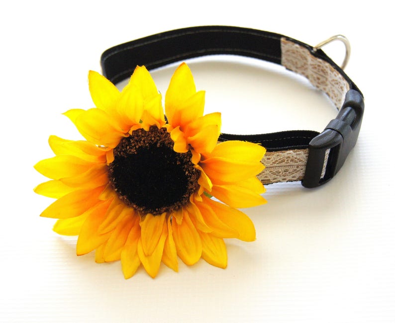 Dog Collar Flower, Yellow Sunflower Dog Collar Attachment, Collar Attachments, Collar Accessories, Wedding Dog Collar, Gifts for Dogs image 3
