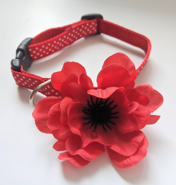 Dog Collar Flower Poppy Dog Collar Flower Red Dog Collar | Etsy