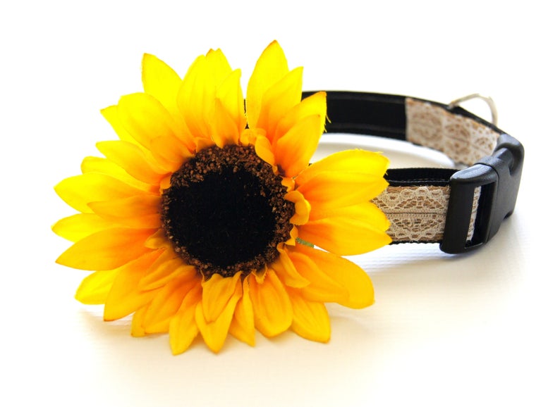 Dog Collar Flower, Yellow Sunflower Dog Collar Attachment, Collar Attachments, Collar Accessories, Wedding Dog Collar, Gifts for Dogs image 1