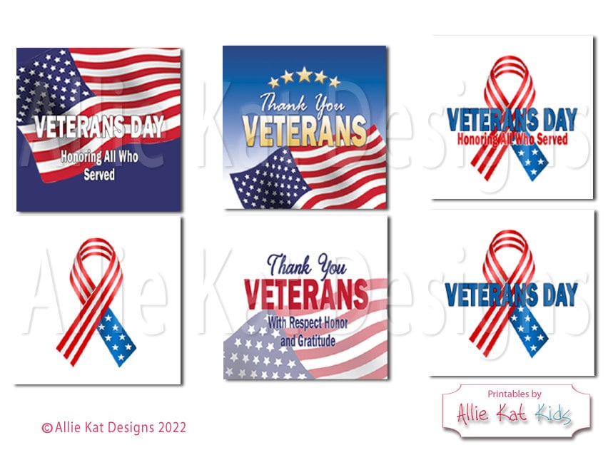 洋楽 The Veteran Click - Veteran's Day CD Nominate A Veteran