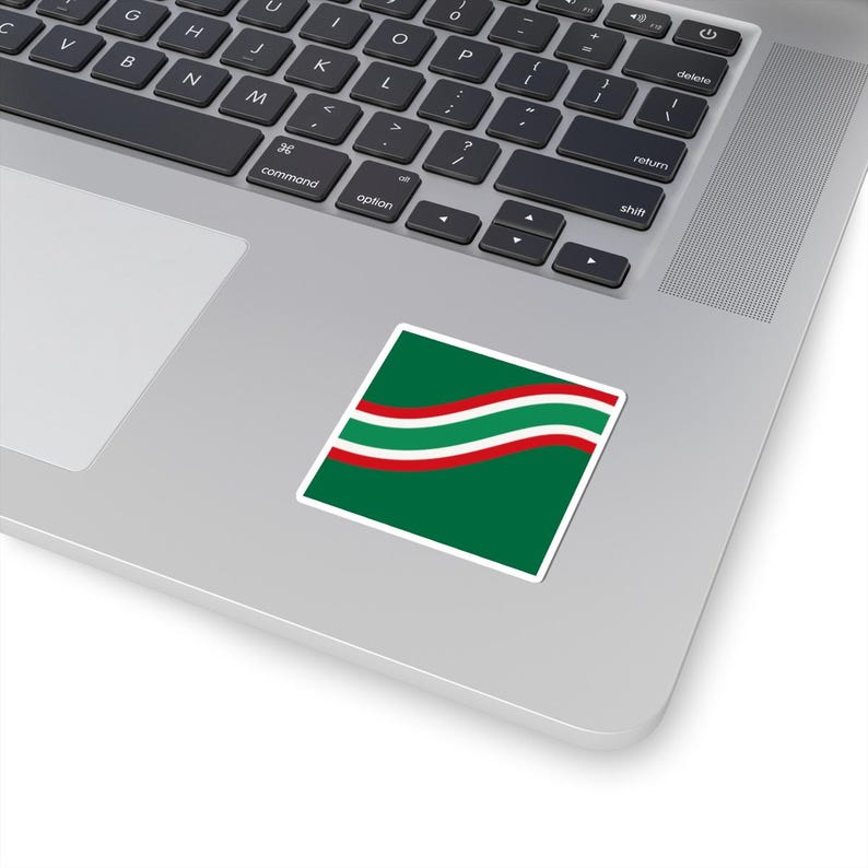 Abstract Racing Stripe Sticker, Green White Red Geometric Vinyl Decal (Bathurst Green), Car Lover Gift image 12