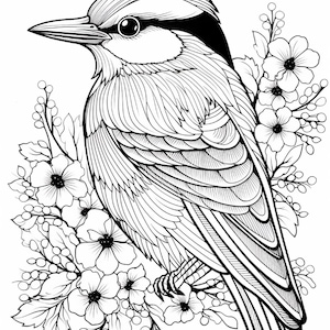 Pode incluir: Uma ilustra&ccedil;&atilde;o de arte linear em preto e branco de um p&aacute;ssaro pousado entre cachos de flores e pequenas bagas. O p&aacute;ssaro apresenta padr&otilde;es de penas detalhados, um bico pontiagudo e um olho escuro. O arranjo floral inclui folhas.