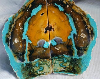 Versteende houten schijf, turquoisekleurig fossiel decoratiestuk, aards verzamelobject, rustieke kunst