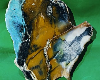 Gepolijste natuurstenen plaat met goudbruine, blauwe en witte minerale patronen, een prachtig verzamelobject.