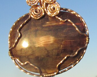 Petrified wood , wire wrapped Pendant