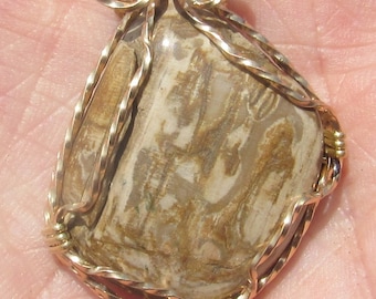 Petrified wood , wire wrapped Pendant