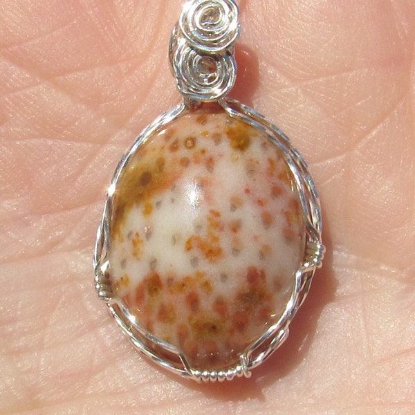 Petrified Palm Tree, wire wrapped Pendant