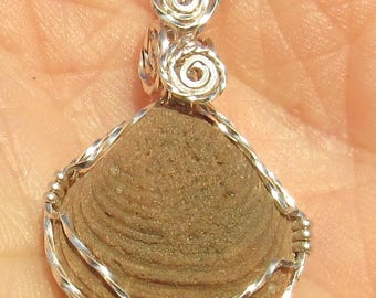Pendentif coquillage fossile en fil d'argent