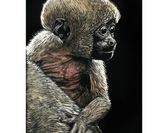 Mini Monkey, Original Scratchboard Drawing matted in 8”x10” frame with plexiglas