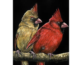 Cardinal Couple, Print of an Original Scratchboard Drawing, Mounted in 8”x10” White Mat