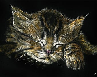 Sleeping Kitty Two, Print of an Original Scratchboard Drawing, Mounted in 8”x10” White Mat