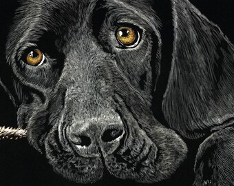 Sad Eyes, Print of an Original Scratchboard Drawing, Mounted in 8”x10” White Mat