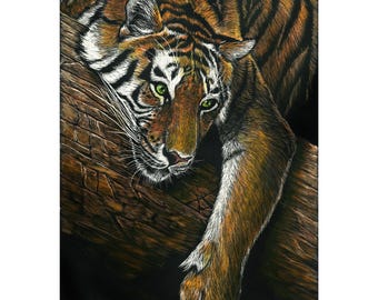 Tiger on Log, Print of an Original Scratchboard Drawing, Mounted in 8”x10” White Mat