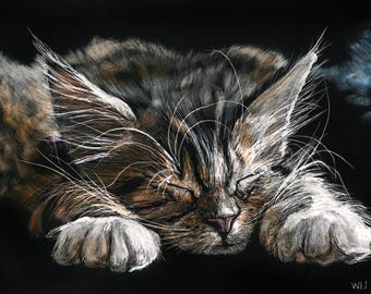 Sleeping Kitten One, Print of an Original Scratchboard Drawing, Mounted in 8”x10” White Mat