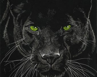 Green Eyes, Print of an Original Scratchboard Drawing of a Panther, Mounted in 8”x10” White Mat