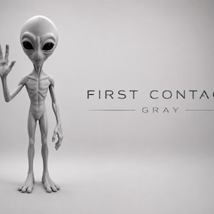 May include: A gray alien figurine with a large head, dark oval eyes, and a slender body, standing with one hand raised in a wave. The text FIRST CONTACT GRAY is printed to the right of the figure in a clean, sans-serif font on a light background.