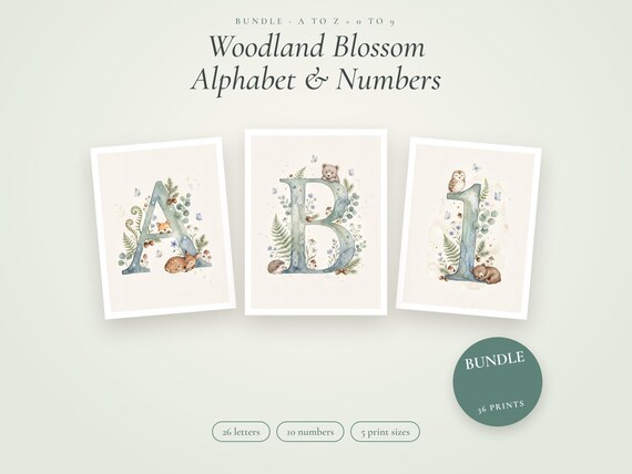 Woodland Alphabet & Numbers Bundle