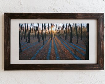 Bare Winter Trees at Sunrise Printable Wall Art, Blue Shadows on Fallen Leaves, Fox in the Forest Digital Download for Living Room