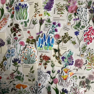 Bundels met botanische sticker en plakboek: Lucky Dip! Vinylstickers, Washi-stickers, planten, bloemen, collage in Victoriaanse stijl, junkjournal