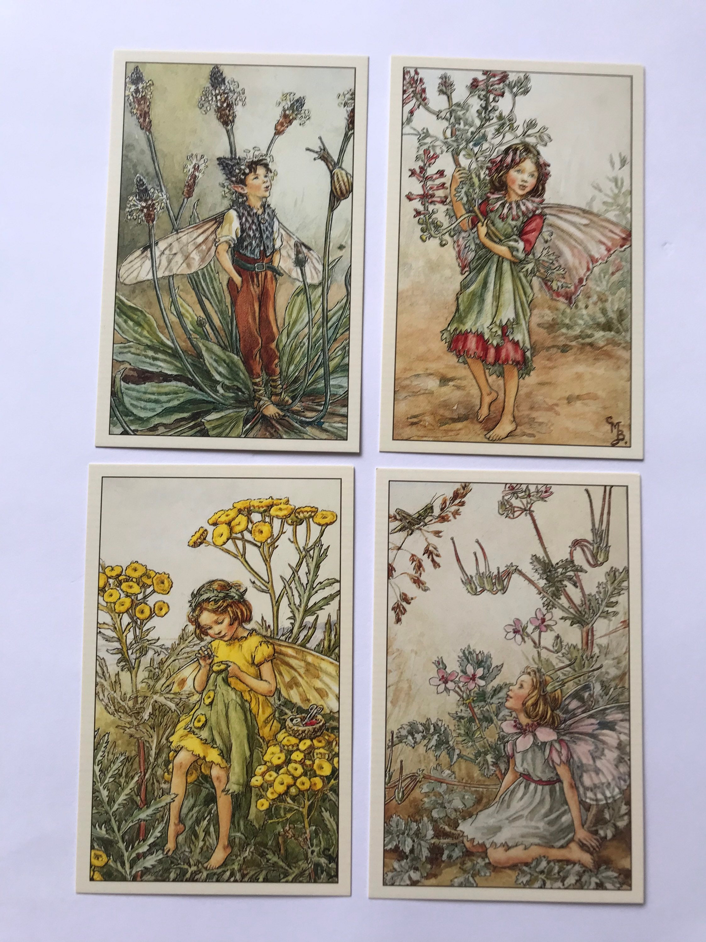 Set of 4 Flower Fairies Vintage Style Postcards, Cicely Mary
