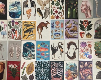 Welcome to the Museum Postcards ULTIMATE LUCKY DIP: Anatomy, Animals, Oceans & Botanical. 5, 10 or 20 postcards, random selection, postcross