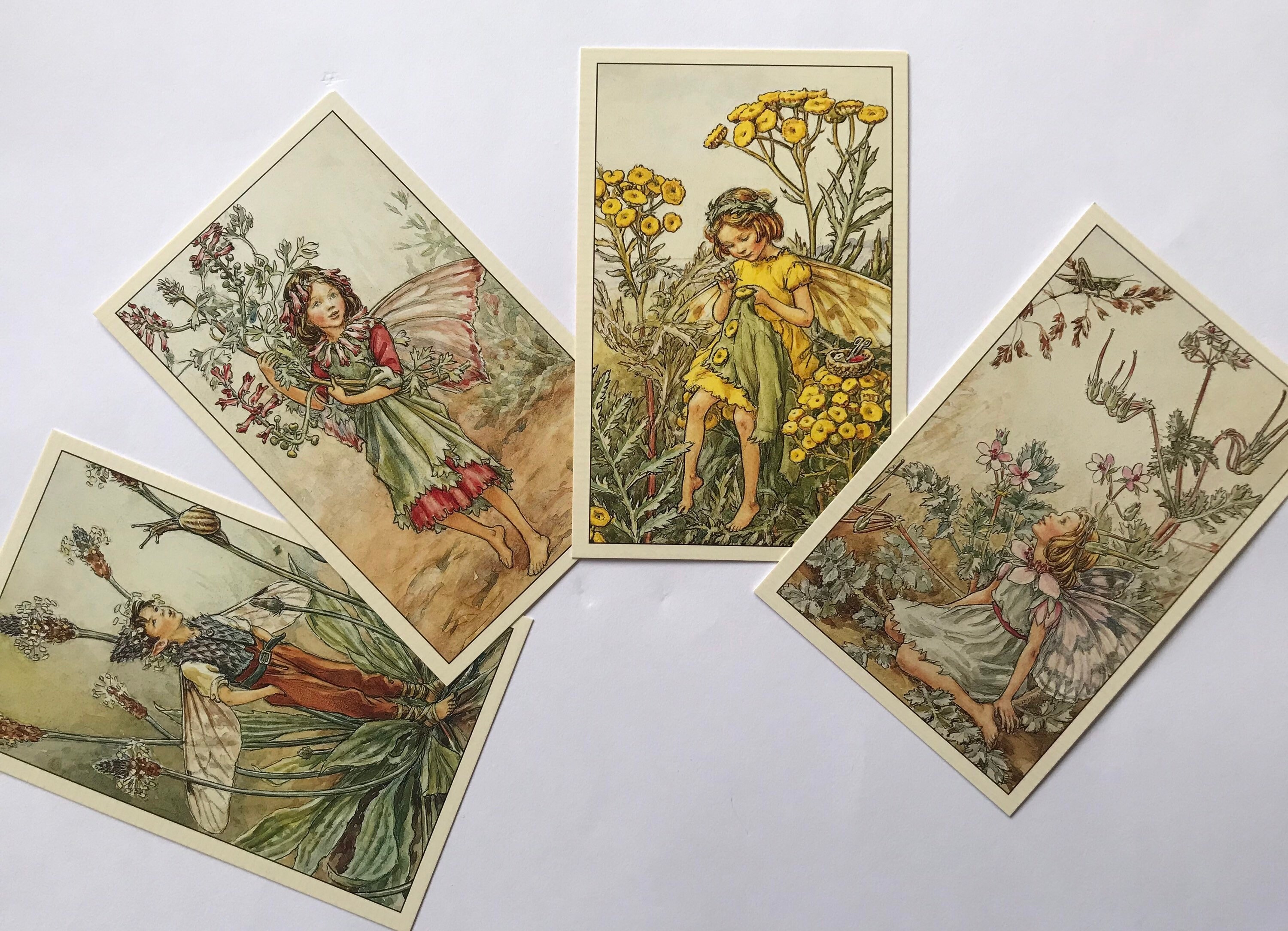 Set of 4 Flower Fairies Vintage Style Postcards, Cicely Mary