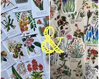 Botanical Postcard & Sticker Bundle: LUCKY DIP, choose your size! Plants, Flowers, Flora, Cacti, scrapbooking, journal, collage, crafting