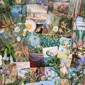 Cartes postales botaniques vintage de style Marianne North. Lots de 5, 10 ou 20 : Kew Gardens, impressions, cadeaux, scrapbooking, art, Lucky Dip
