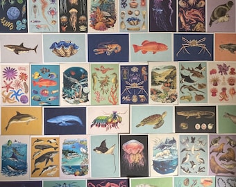 Oceanarium Postcard LUCKY DIP: Welcome to the Museum collectible sealife postcards. Set of 5, 10 or 20. Prints, Gifts, scrapbook, curiosity