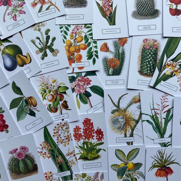 Impressions botaniques de cartes postales - immersion chanceuse ! Lot de 5, 10 ou 20 : jardin botanique de New York, art, design, cadeau, décoration d'intérieur, artisanat