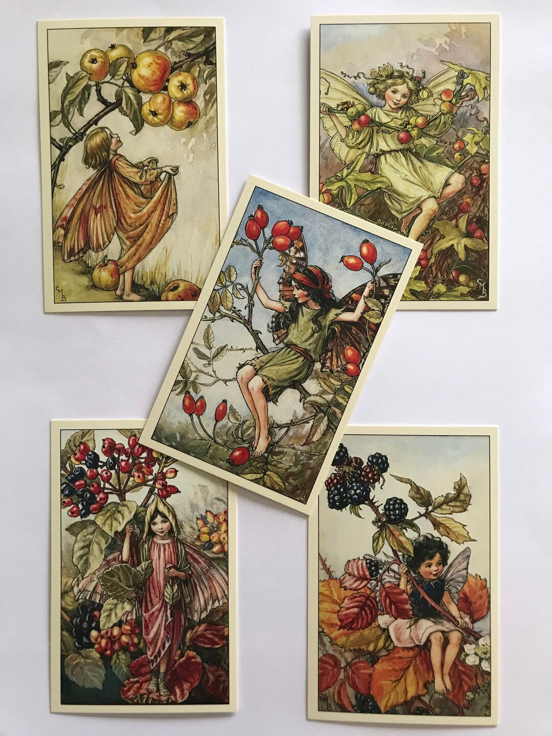 Set of 5 Flower Fairies Vintage Style Postcards: Flower Fairies of the ...