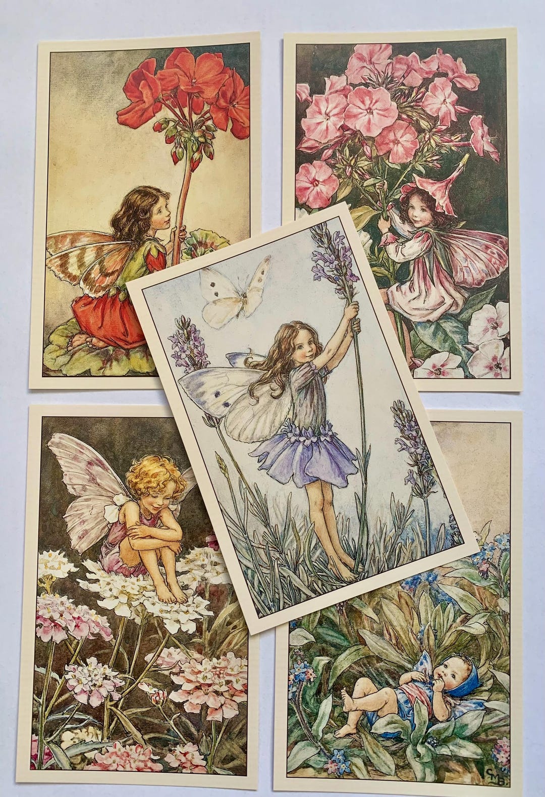 Set of 5 Flower Fairies Vintage Style Postcards: Flower