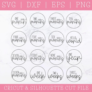 Lot de marqueurs d'étape mensuels pour bébé, SVG coupés, cartes d'étape importante de 1 à 12 mois, personnalisées, médaillons, première année, idée cadeau baby shower