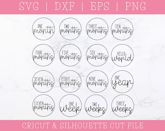 Baby Milestone Marker SVG Cut File Bundle: First Year Medallions (Digital Download)