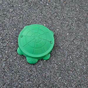 Turtle Sandbox