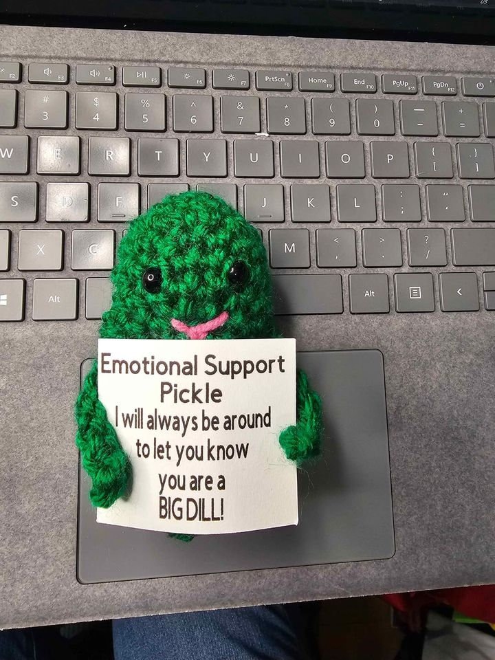 Emotional Support Dill Pickle Crochet Pattern with Sign